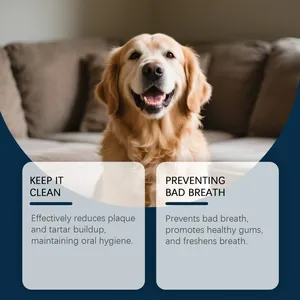 Golden retriever showing healthy teeth and gums for pet mint oral spray benefit