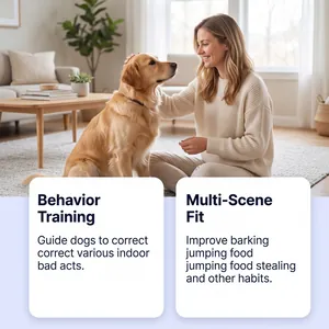Effective pet training spray for correcting indoor dog behavior shown in home detail
