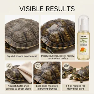 Comparaison de la santé des carapaces de tortue après l'utilisation du spray
