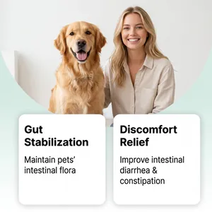 Informational graphic of dog gut health benefits with Golden Retriever and happy owner