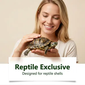 Gros plan d'une carapace de tortue saine montrant l'effet brillant du spray de soin