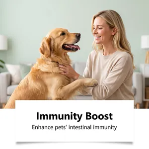 Close-up shot of a happy golden retriever with owner showcasing pet immunity boost benefits
