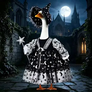 Detailed macro view of Halloween witch costume with star wand for porch goose statue