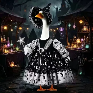 Detail view of Halloween witch costume for garden goose ornament with star patterns