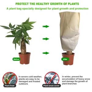 Bolsa de protección para plantas de tela no tejida contra heladas y nieve, antes y después
