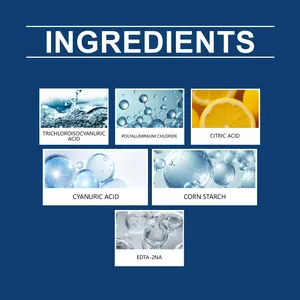 Gedetailleerde ingrediëntenlijst voor zwembadreinigingstabletten met actieve formules