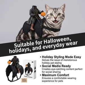 Detailed view of Headless Horseman pet costume for cats featuring a glowing pumpkin lantern