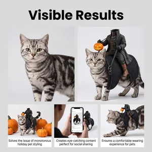 Detail shots of Headless Horseman pet costume showing unique styling and social media appeal