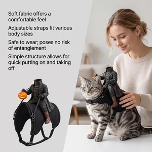 Headless horseman pet costume with pumpkin lantern shown on a tabby cat.