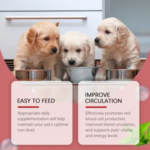 Three puppies eating with info on pet dog syrup health benefits and iron levels