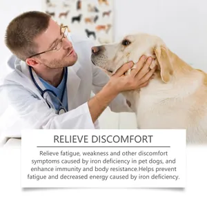 Veterinarian examining a golden retriever, showing pet dog health supplement benefits.