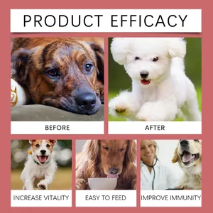 Pet dog nutritional supplement syrup demonstrating before and after efficacy results