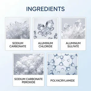 Lista detallada de ingredientes del polvo limpiador de piscinas incluyendo carbonato de sodio
