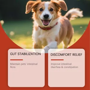 Pet probiotic supplement detail showing benefits for dog gut health stabilization.
