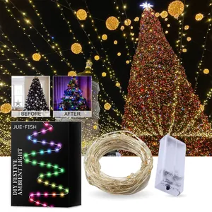 Dettaglio delle luci a stringa in filo di rame LED con scatola della batteria