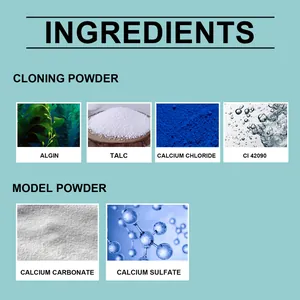 Detailed ingredient list for DIY hand mold kit cloning and model powder