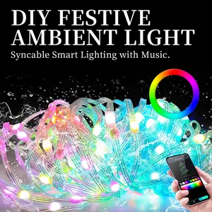 Luci a stringa LED multicolore con controllo app per decorazioni festive fai-da-te