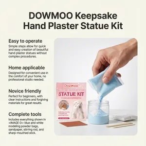 DOWMOO hand plaster statue kit with molding powder, tools, and detailed feature guide