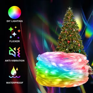 Dettaglio delle luci a stringa LED RGB impermeabili per decorare l'albero di Natale