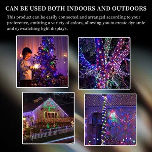 Vista dettagliata della catena luminosa a LED multicolore per decorazioni interne ed esterne.