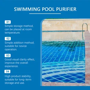 Detalle de los beneficios del purificador de piscina para la claridad del agua.