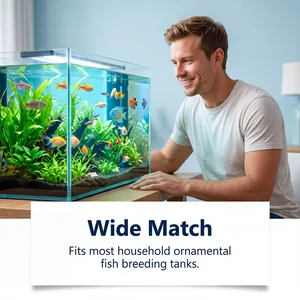 Detailed view of clear home fish tank with colorful fish using aquarium water purifier