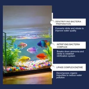 Infographic showing aquarium water treatment bacteria and enzymes for healthy fish tank water