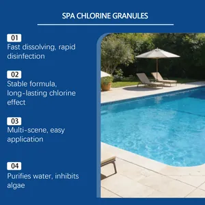 Détail des granulés de chlore à dissolution rapide pour spa et pour la piscine pure