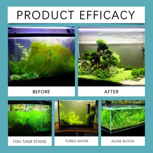 Vergleich der Wirksamkeit von Aquarium-Wasserreinigern für klare Fische-Ergebnisse