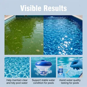 Kit profesional de limpieza de piscinas con resultados visibles de agua sucia a cristalina