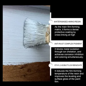 Detailed description of anti-rust paint ingredients like water-based amino resin.