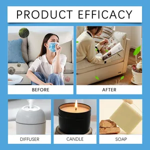 Winter essential oil set for diffuser, candle making, and soap with air freshening effect