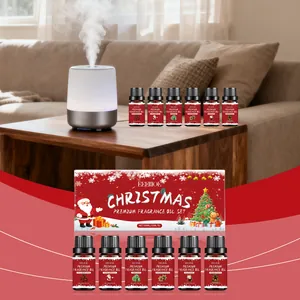 EELHOE Weihnachtsduftöl-Set mit sechs festlichen Düften in einer weihnachtlichen Geschenkbox