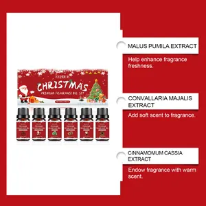 Detailansicht der natürlichen Pflanzenextrakte und Vorteile des Weihnachtsduftöl-Sets