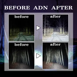 Detailed before and after comparison of powerful flashlight illumination in a forest