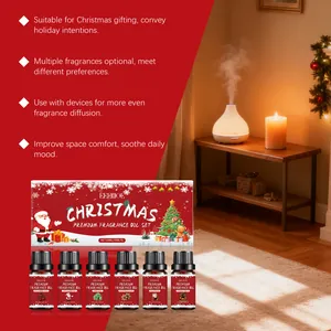Vielzahl von Weihnachtsduftölen mit einer warmen Wohnzimmer-Diffusor-Szene gezeigt.
