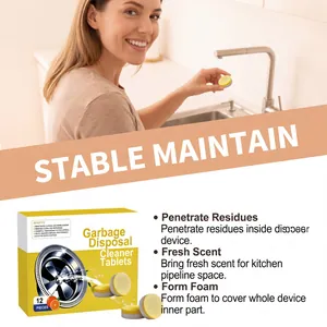 Detailed view of garbage disposal cleaner tablets with benefits listing and usage scenario.