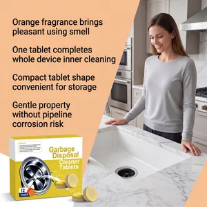 Instructional detail of orange garbage disposal cleaner tablets in a kitchen sink setting