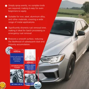 Professional Homonth rust removal spray for car metal parts and wheel polishing