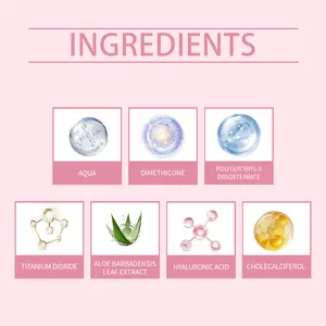 Visual breakdown of skincare foundation ingredients like Hyaluronic Acid and Aloe Vera