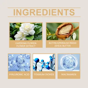 Detail infographic showing ingredients like Niacinamide and Shea Butter for DD cream