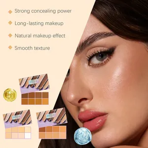 Detalle del efecto corrector en crema mate en el rostro con paletas de 8 tonos.