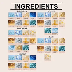 Detailed ingredient list for fashion makeup kit including eye shadow and lip gloss