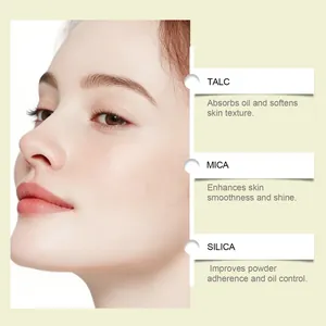 Detailed infographic showing setting powder ingredients like Talc, Mica and Silica.