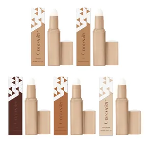 Set of 5 silky liquid concealer sticks in multiple shades for natural skin finish