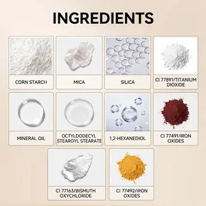 Elenco dettagliato degli ingredienti per la cipria fissante con amido di mais e mica