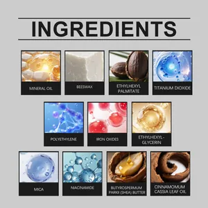 Detailed infographic of eyeliner ingredients including niacinamide and shea butter