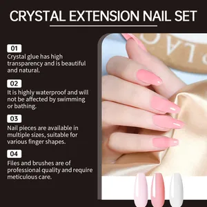 Professionelles Kristall-Nagelverlängerungsset mit wasserfestem Kleber und rosa Tips
