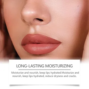 Makro-Nahaufnahme von ziegelrotem Lipgloss-Effekt auf den Lippen mit feuchtigkeitsspendender Textur