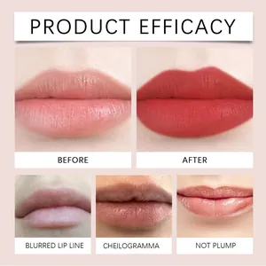 Detail view showing lip gloss efficacy, before and after application with matte red finish